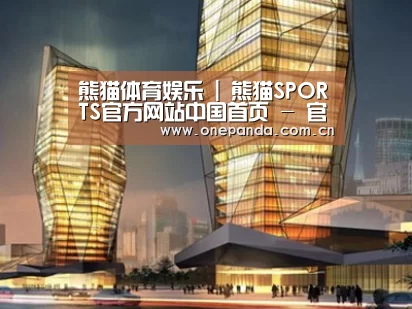 案例展示三