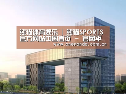 案例展示四