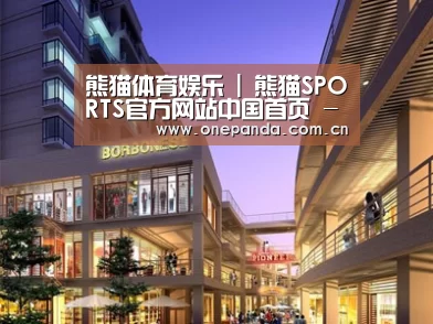 案例展示一