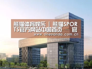 案例展示四