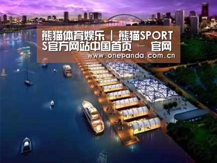 案例展示八