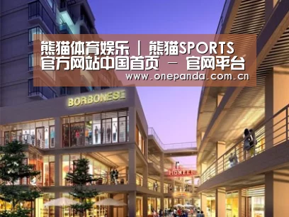 案例展示一