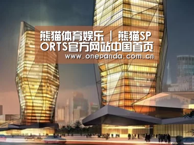 案例展示三