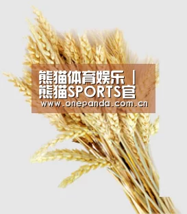 熊猫体育娱乐 | 熊猫SPORTS官方网站中国首页 - 官网平台入口直达