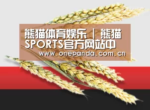 熊猫体育娱乐 | 熊猫SPORTS官方网站中国首页 - 官网平台入口直达