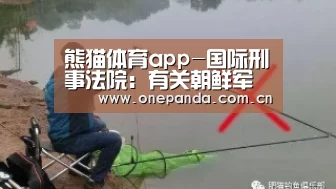 熊猫体育