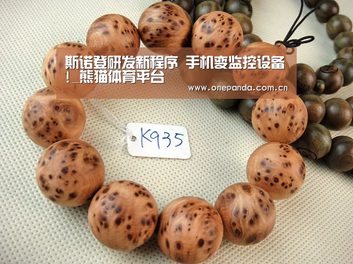 斯诺登研发新程序 手机变监控设备!_熊猫体育平台(图1) 熊猫体育平台