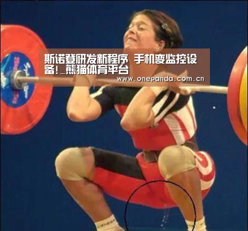 斯诺登研发新程序 手机变监控设备!_熊猫体育平台(图2) 熊猫体育平台