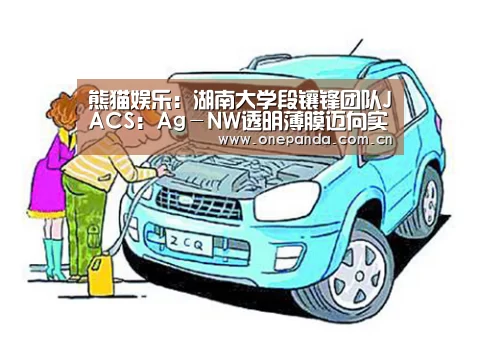 熊猫娱乐:湖南大学段镶锋团队JACS:Ag-NW透明薄膜迈向实际应用还要解决哪些问题?(图1) 熊猫体育平台