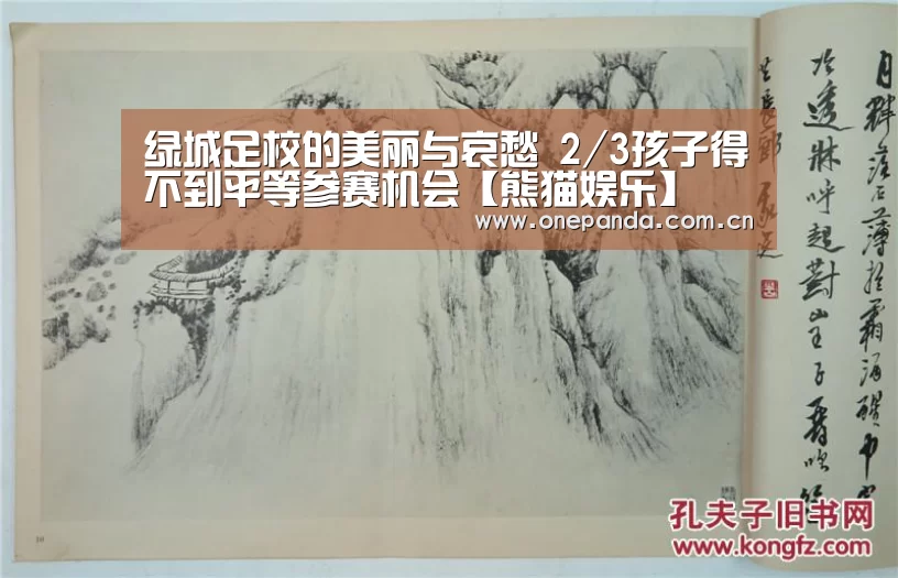 熊猫体育平台