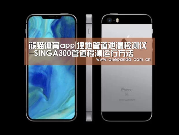 熊猫体育app|埋地管道泄漏检测仪-SINGA300管道检测运行方法(图1) 熊猫娱乐