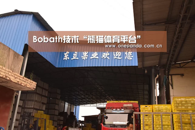 Bobath技术“熊猫体育平台”(图34) 熊猫娱乐
