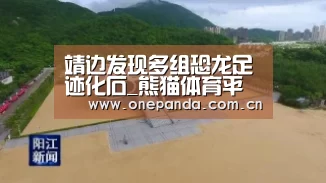靖边发现多组恐龙足迹化石_熊猫体育平台(图1) 熊猫体育