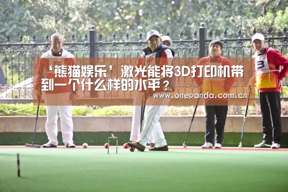 ‘熊猫娱乐’激光能将3D打印机带到一个什么样的水平?(图2) 熊猫体育app