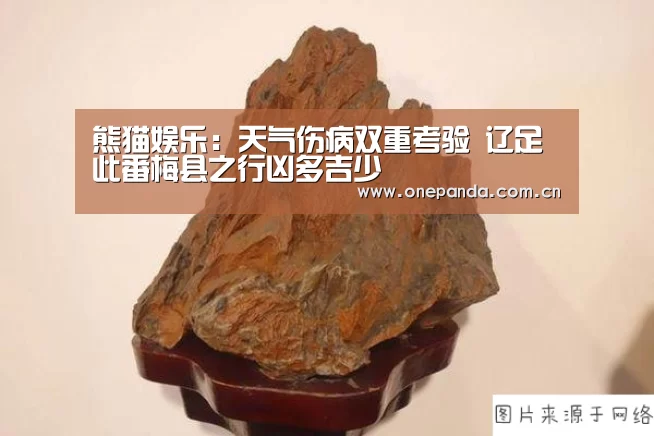 熊猫娱乐