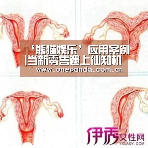‘熊猫娱乐’应用案例|当新零售遇上仙知机器人,会擦出怎样的火花?(图4) 熊猫体育app