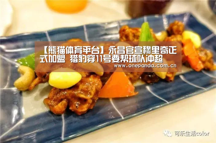 熊猫体育