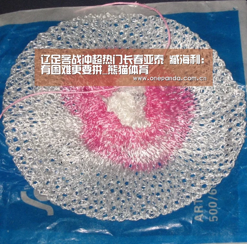 辽足客战冲超热门长春亚泰 臧海利:有困难更要拼_熊猫体育(图1) 熊猫体育平台