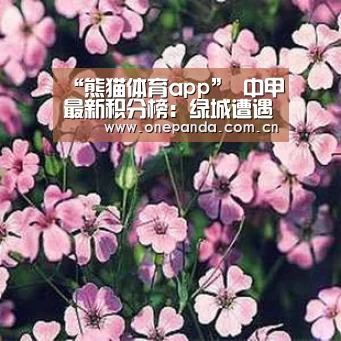 “熊猫体育app”
中甲最新积分榜:绿城遭遇3轮不胜 跌至第6距榜首8分!(图1) 熊猫体育