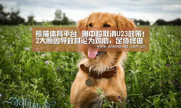 熊猫体育平台
