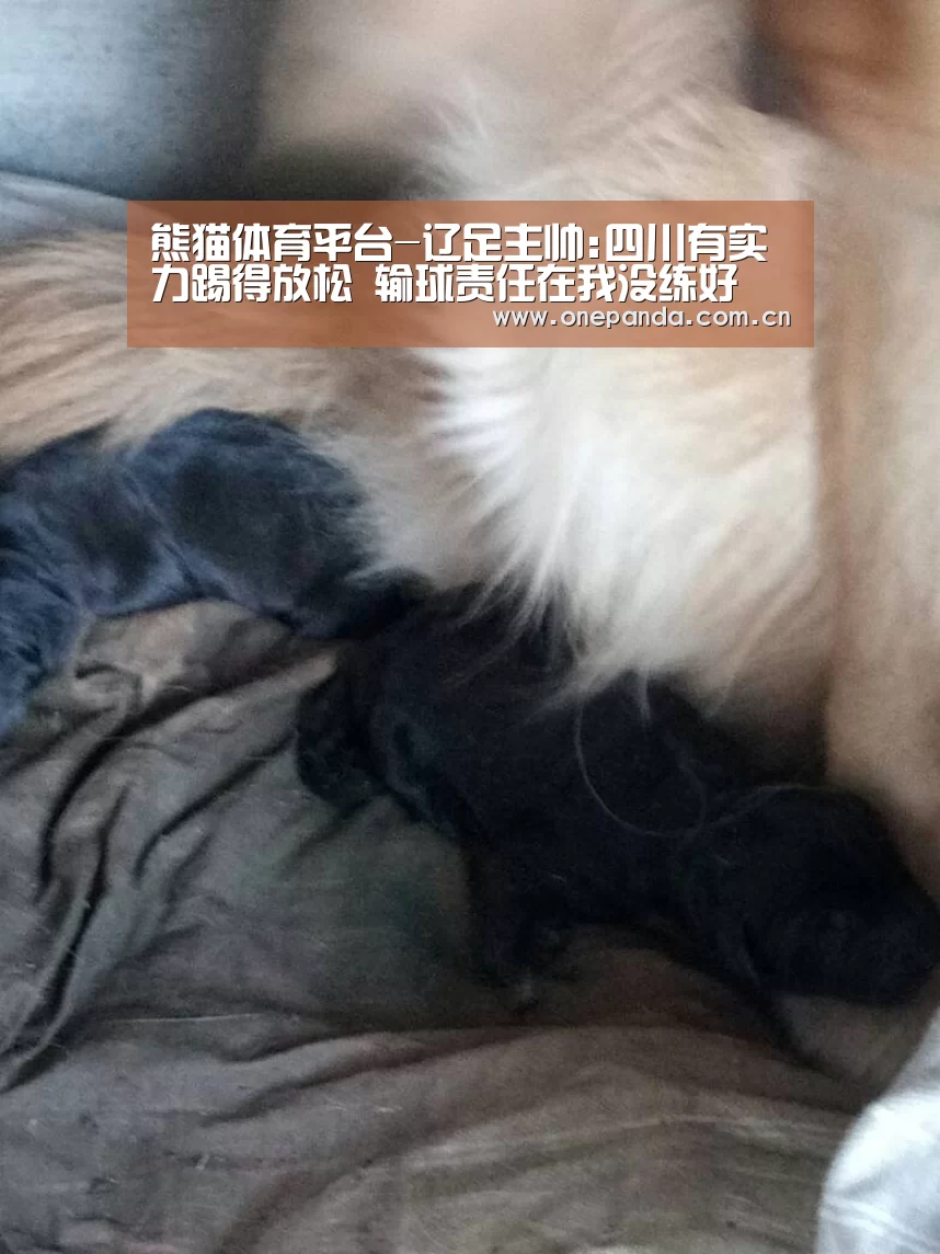 熊猫体育平台-辽足主帅:四川有实力踢得放松 输球责任在我没练好(图1) 熊猫体育app